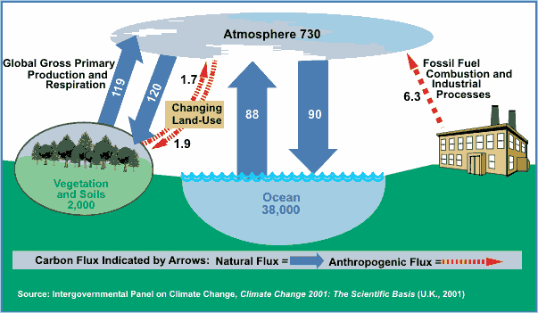Figure 2 is a flow diagram showing the global carbon cycle.